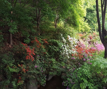 Seoul Forest Guesthouse