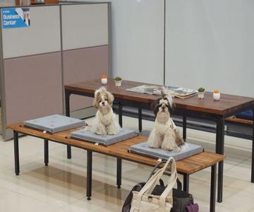 Hongik Jeju Hotel