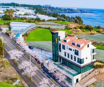 Seogwipo Hawonga Pension