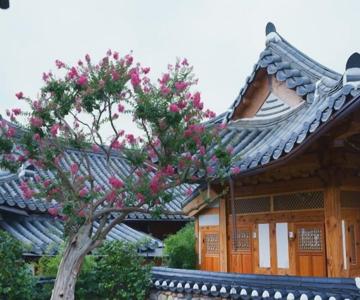 Dajeong Guesthouse