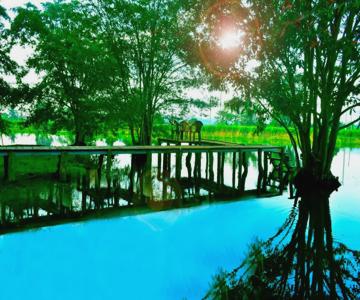 Canal Side Safari Resort
