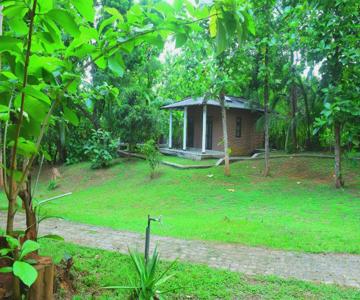 Safari Queens Resort