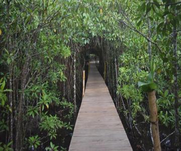 Shiny Lakeside Resort