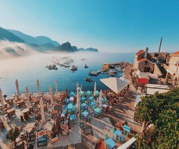 Apartments First Line