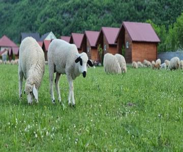 Eko Katun Rosi Old Tower