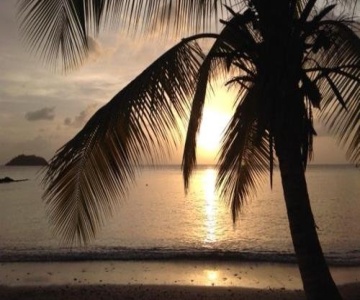 Studio Vue Mer aux Trois-Îlets