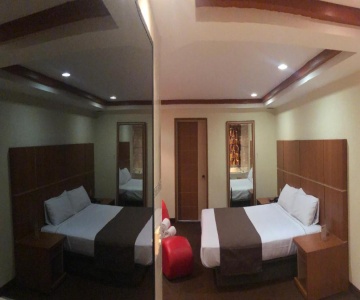 Hotel Orion