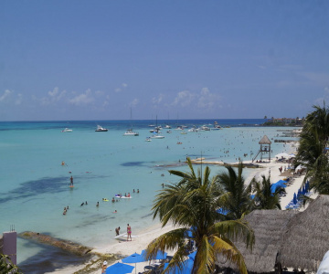 Chichis And Charlies