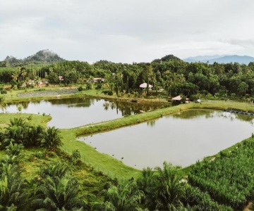 Kampung Bongsu Farm Stay