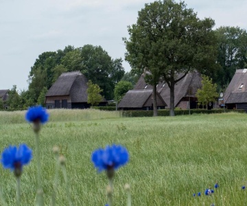 Gastenverblijf Lheederhof
