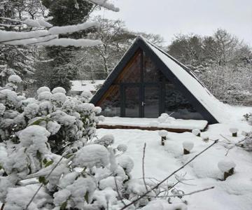 A-huis In Het Bos Van Drenthe