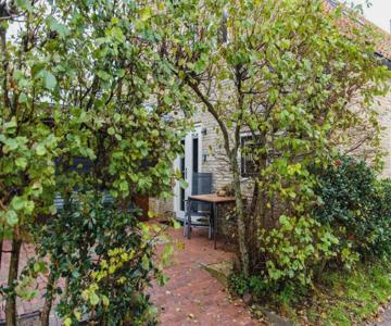 Studio Dit Eiland