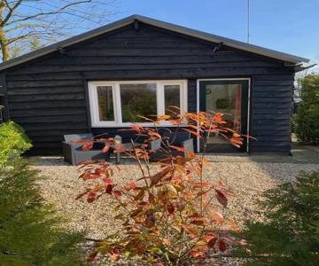 Veluwse Bos En Heide Studio