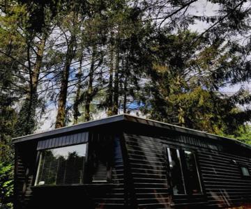 Heerlijk Chalet Midden In De Natuur