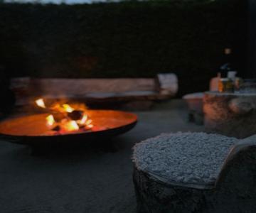 Maya Tempel - De Ijsvogel