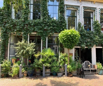 't Hart Van Schiedam