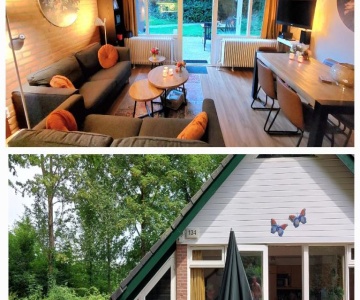 Butterflies, Bungalow 134