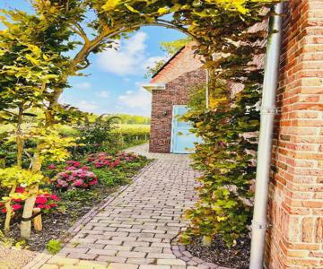 Beach & Forest Retreat -domburg-