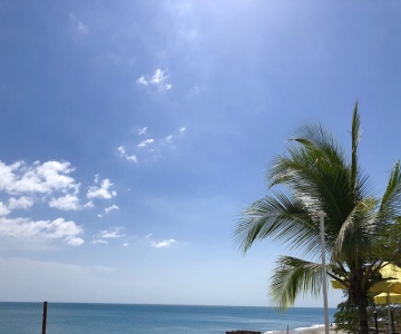 Coconut Blue