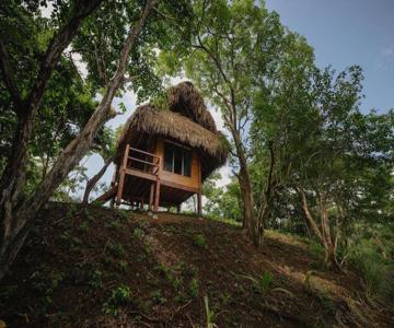 Eco Venao