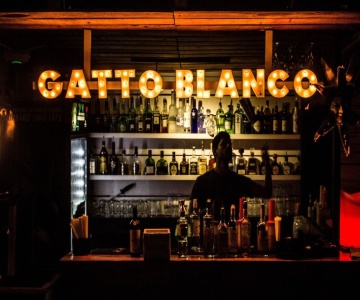 Hotel Gatto Blanco & Rooftop Club