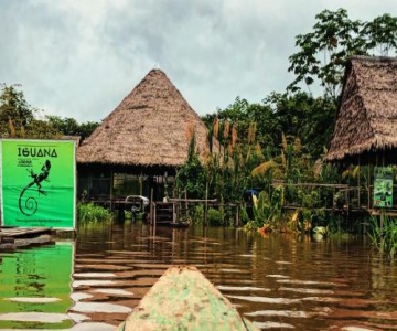 Iguana Lodge Peru