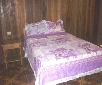 Amazon Eco Tours & Lodge