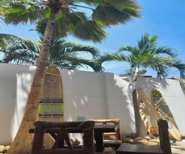 Casa Mancora Guesthouse