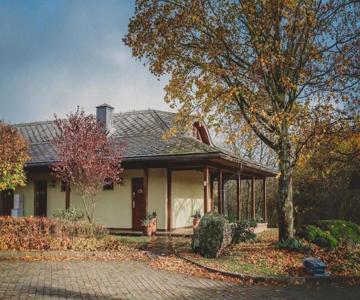 Centrum Gostar Stajnia Gostar