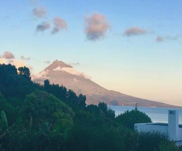 Summer House With Bbq And Garden
