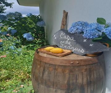 Casa de Fráguas