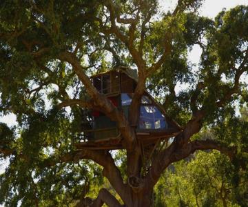 Tree House Da Lage