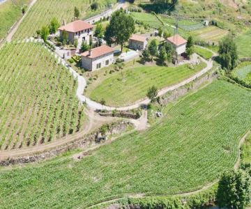 Quinta De Carvalhal - Casa Da Vinha
