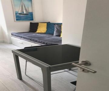 Miguel Torga Medieval