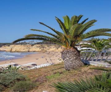 Apartamento De La Praia
