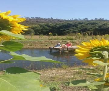 New Built Studio, In Nature Close To The Beach