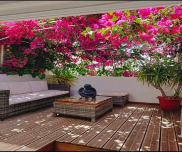 Casa Da Avo By Ammonite&co