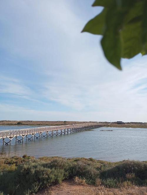 Quinta Do Lago Villa And Golf