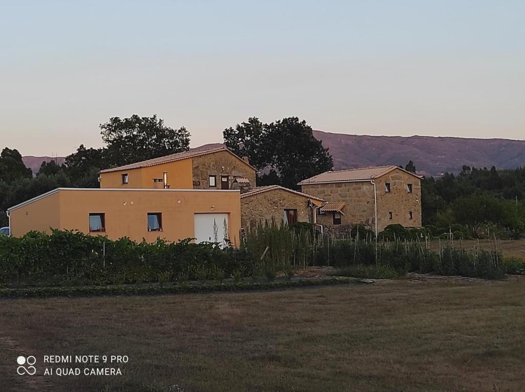 Quinta Damigo