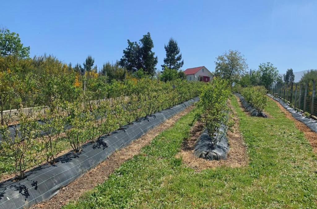 Quinta Vale Salgueiro