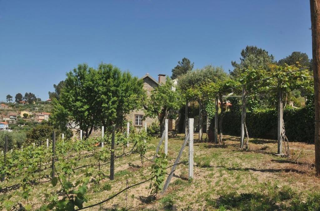 Quinta do Vale Sanguinho