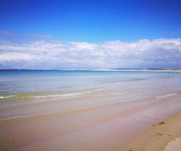 Peniche's Blue & Yellow