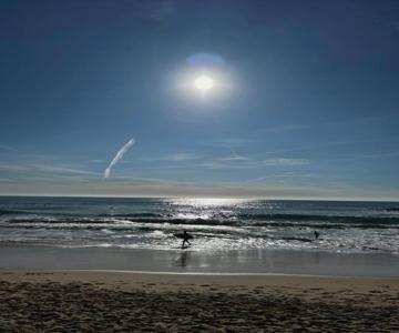 Blue Chill Carcavelos