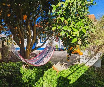 Cozy 3 Br Home - Close To Beach