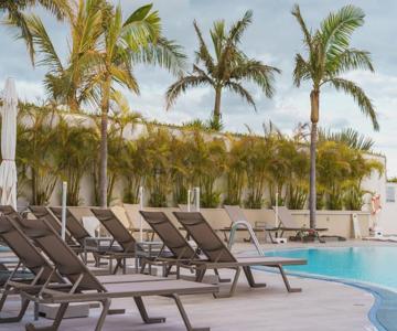 Golden Escape In Funchal