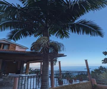Fantatic Holiday House