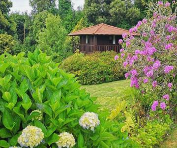 Nature Cabins - Santo Da Serra