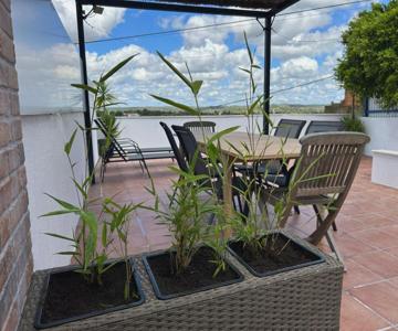 Sabores Alem Tejo 38