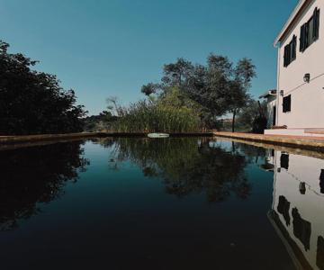 Breakfast Under A Tree Apartamento