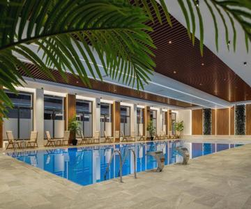 Alexandrion Experience